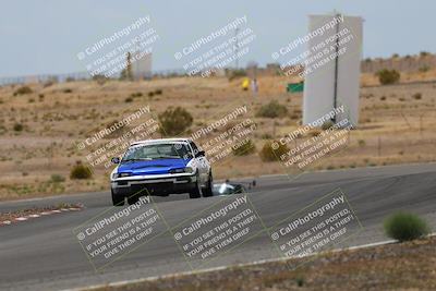 media/May-03-2025-Lucky Dog Racing (Sat) [[206de64b9d]]/Turn 6 (150pm-230pm)/